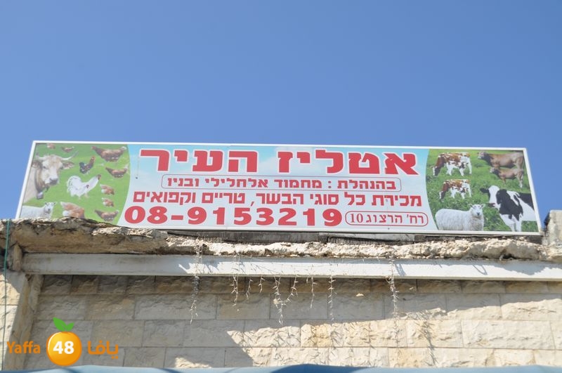mal7amat el balad (26).JPG